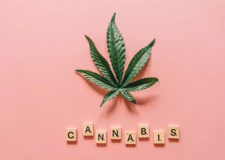 Cannabis